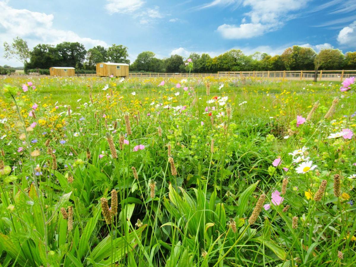 Honeysuckle Farm Holidays By Stay In Suffolk, Monk Soham Woodbridge Exteriér fotografie