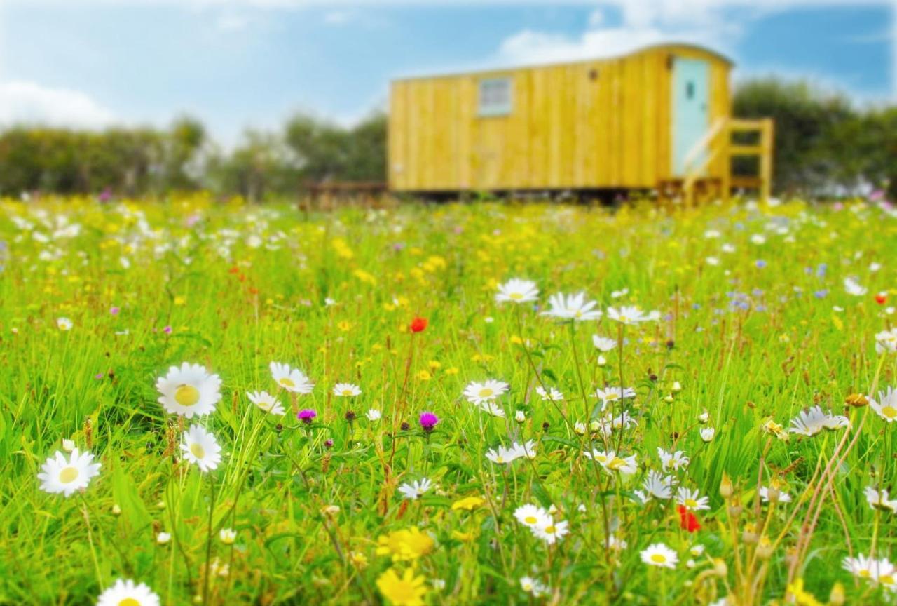 Honeysuckle Farm Holidays By Stay In Suffolk, Monk Soham Woodbridge Exteriér fotografie